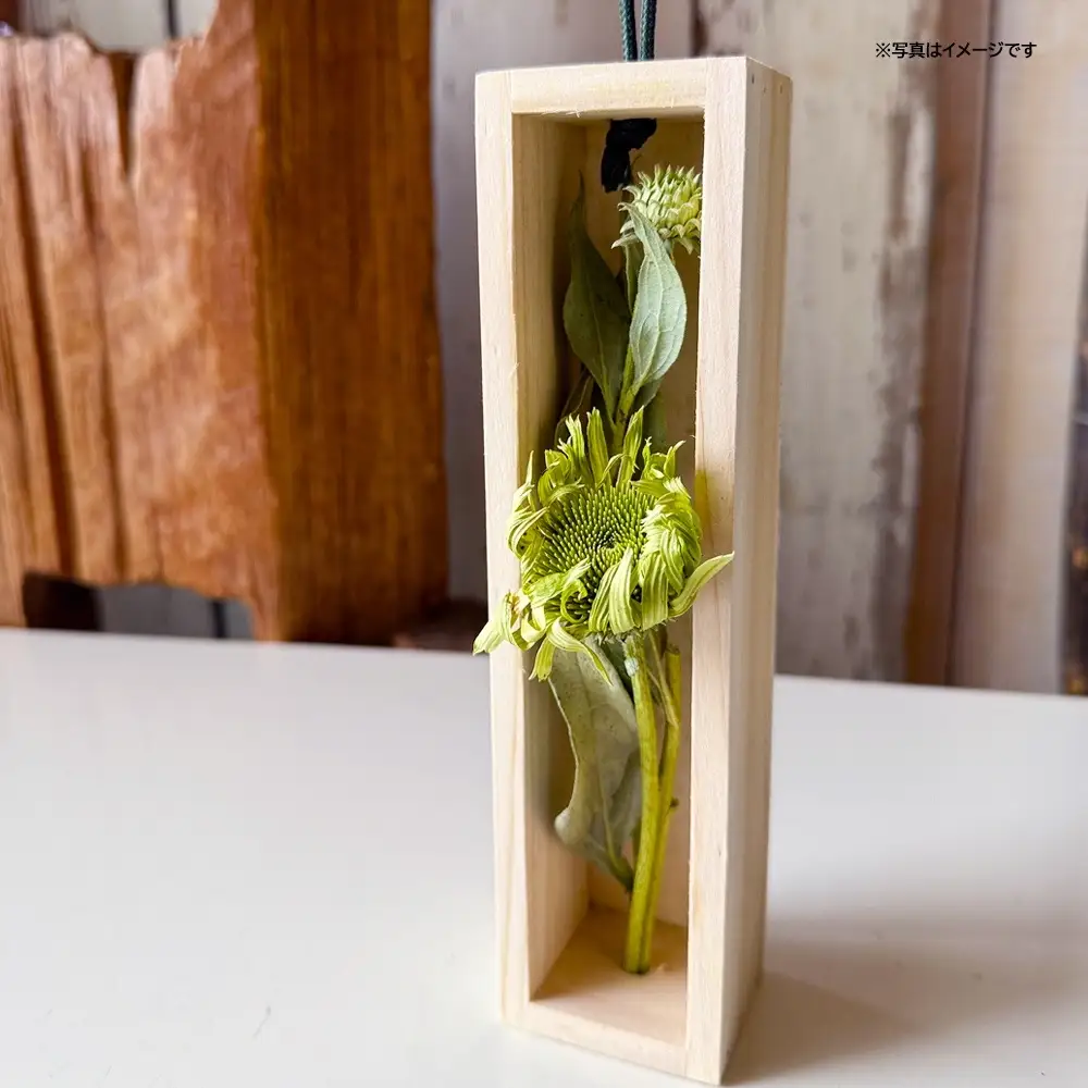 SL0281　水のいらない花　ゼロフラワー「花いちりん」 S　草花