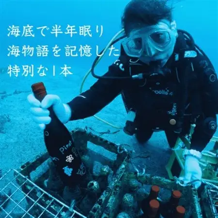 【海底に半年沈めて熟成した白ワイン】辛口 IL ROCCOLO SOAVE DOC 750ml#10【1719223】