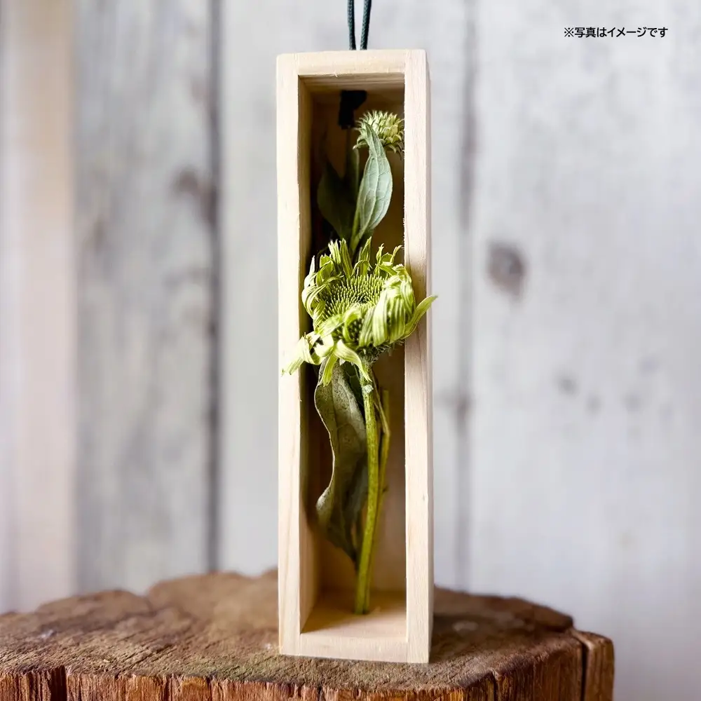 SL0284　水のいらない花 ゼロフラワー「花いちりん」 S×3セット　草花(ミックス) 