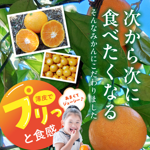 【2026年先行予約】庄助みかん (家庭用・サイズ混合) 約3kg_BK6018