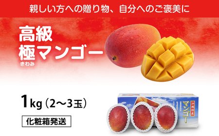 高級マンゴー　極１kg 【熱帯資源植物研究所】