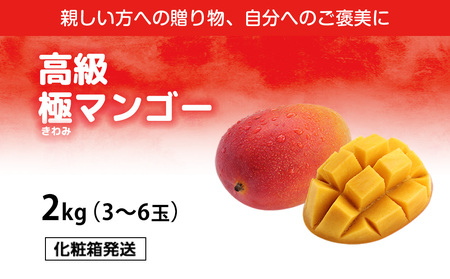 高級マンゴー　極２kg 【熱帯資源植物研究所】