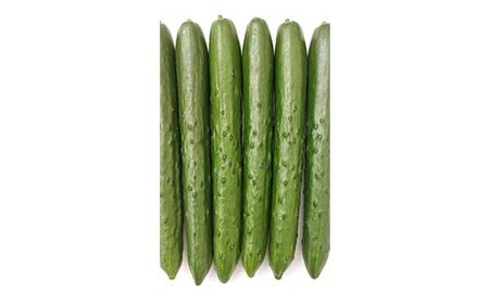 タクシー会社直送 パリッと歯ごたえ 岩瀬きゅうり2kg キュウリ 野菜 漬物 サラダ 福島県 須賀川市 F7X-0781