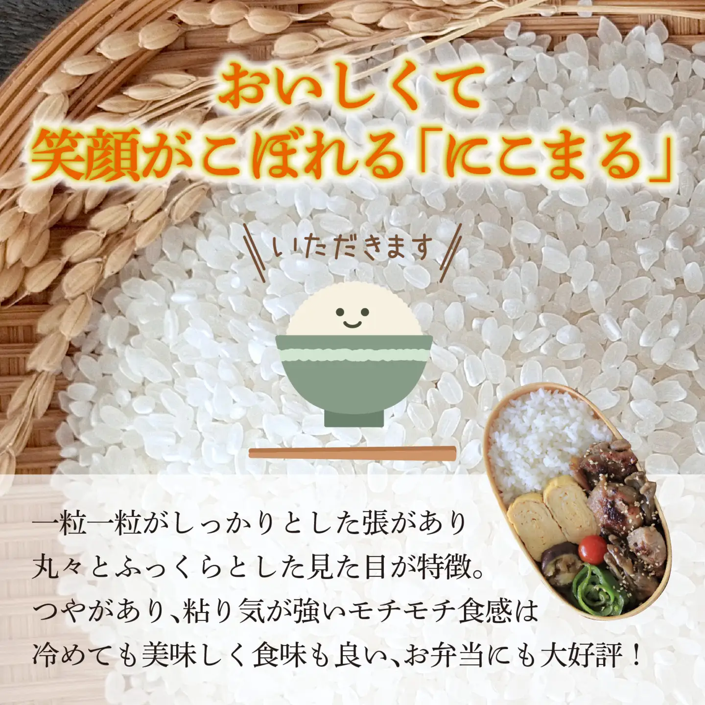 【令和8年産】  にこまる 5kg 【2027年2月配送】 |  にこまる 白米