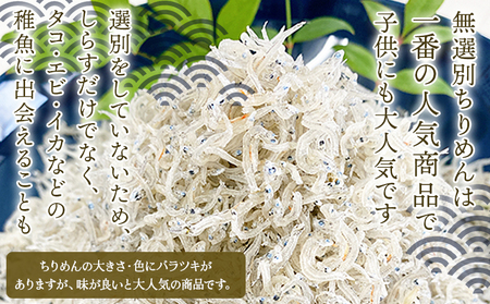 ＜井上のちりめん 無選別 合計約360g（180g入り×2袋）3回定期便＞ちりめんじゃこ タコ エビ イカ 稚魚 バラバラ かたくちいわし 小魚 小分け カルシウム 乾物 ジッパー付 たっぷり 便利 海鮮 井上水産 特産品 愛媛県 西予市【冷蔵】『お申込み月の翌月より配送』AIU0006
