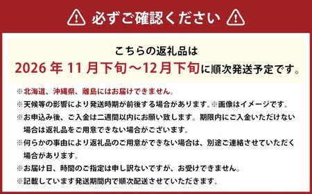あたご梨 3～6玉 約4kg 【2026年11月下旬～12月下旬迄発送予定】 愛宕梨 梨 なし 和梨 果物 果実 フルーツ 大玉 岡山県 美咲町 常温
