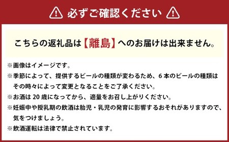 東京都北区産クラフトビール Beer++ Brewing 350ml缶 × 6本 ビール 地ビール アルコール お酒 酒 国産 東京都産 クラフトビール セット 缶ビール