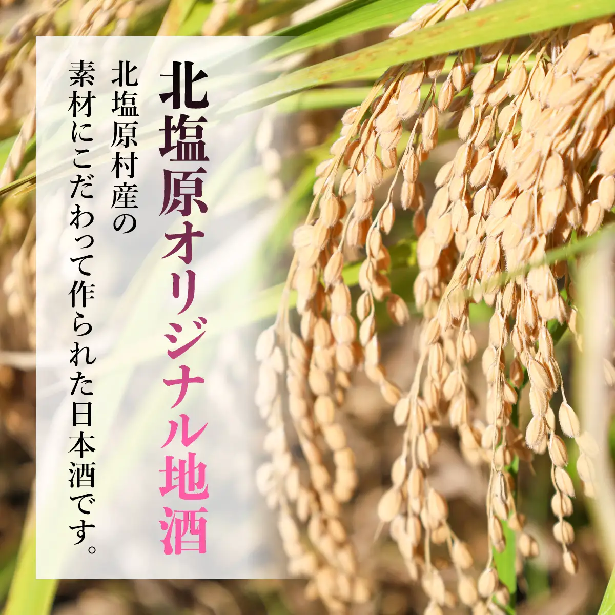 【3ヵ月定期便】「会津山塩」と地酒「佳き酔　歌磐梯」のセット KBM015