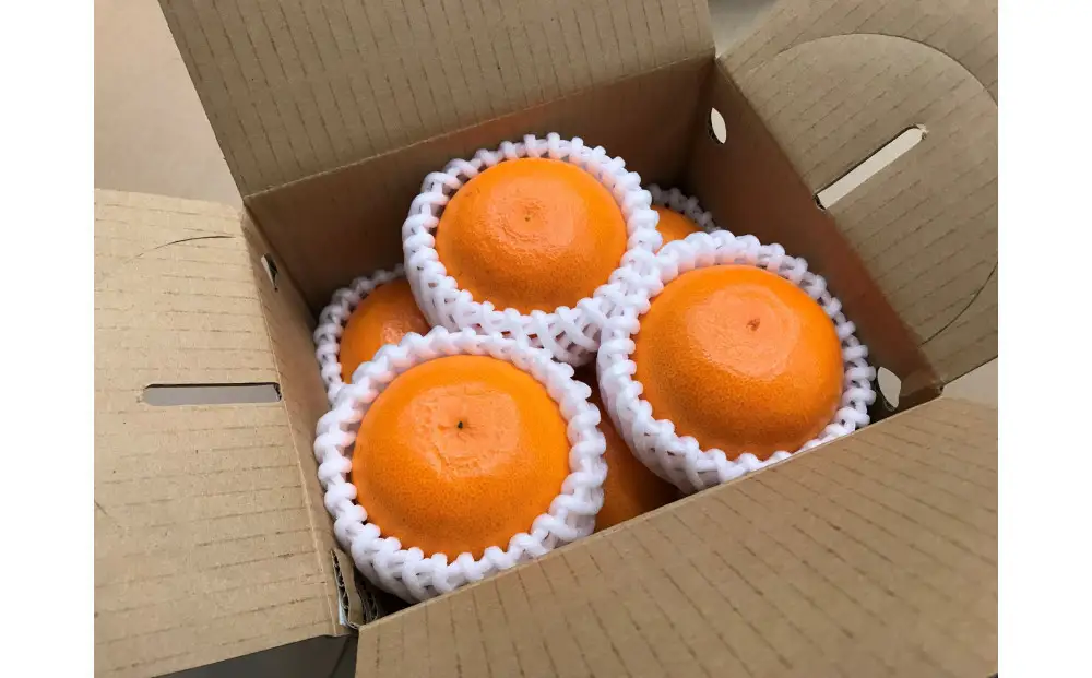［4箱セット］甘っ子 小玉 ハウス せとか 9玉入 × 4箱 手さげ箱 南泰園