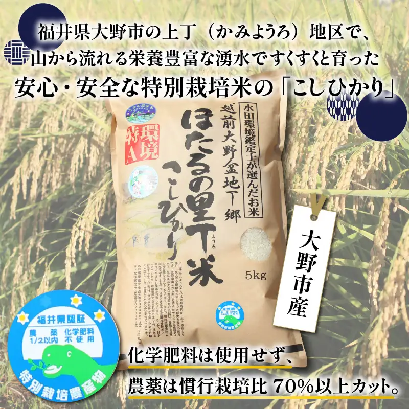 【新米予約受付中】令和8年産 特別栽培こしひかり 5kg【A-002004】