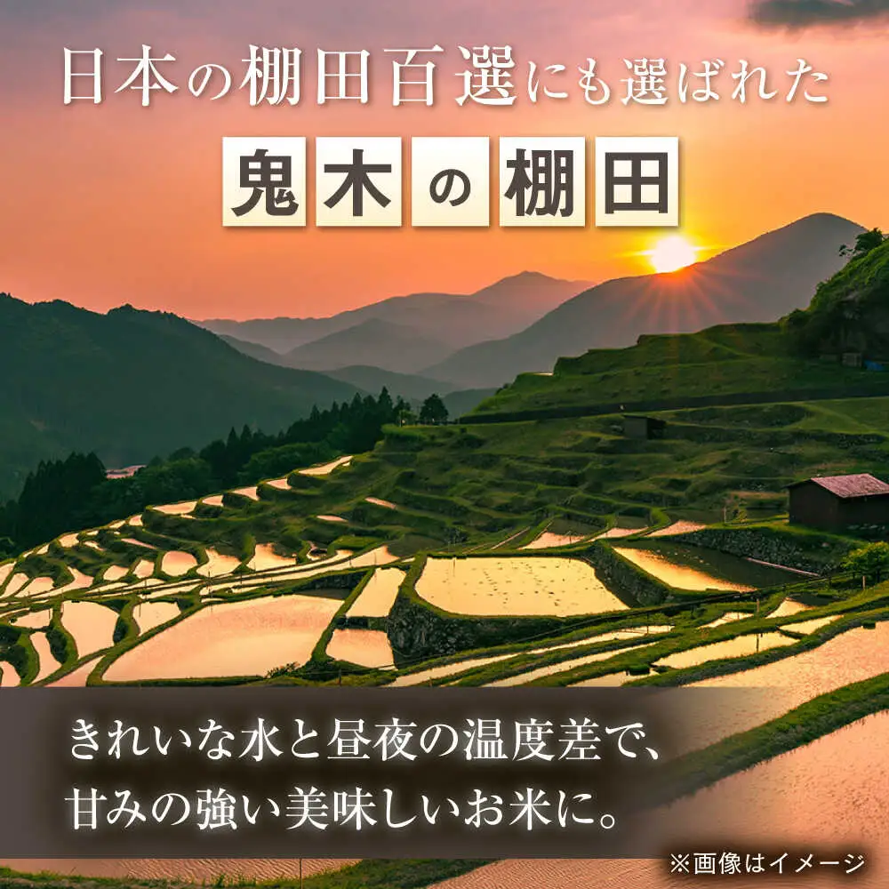 【鬼木の棚田米】【全3回定期便】 ヒノヒカリ 5kg 波佐見町産 【冨永米穀店】[ZF20]