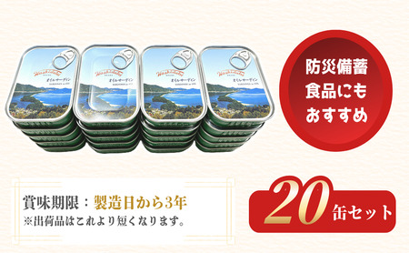 橋立印 オイルサーディン （いわし油づけ） 20缶入 │ 竹中 罐詰 缶詰 缶詰め まとめ買い レシピ サラダ 備蓄 防災 非常食 保存食 油漬け 天橋立 京都 宮津 イワシ セット つまみ 加工 魚介 トッピング myz04 myz11
