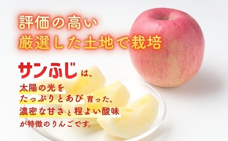りんご サンふじ 5kg 贈答用 信州 フルーツ 果物　サンふじりんご 林檎 リンゴ サンふじ くだもの 旬の果物 旬のフルーツ 信州産 長野県産 長野 長野県 上田市