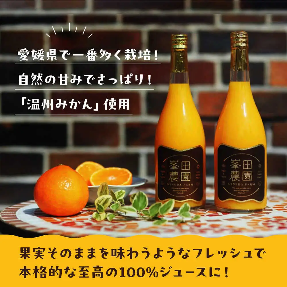 温州みかんジュース（720ml×12本）みかんジュース[AGBT024]