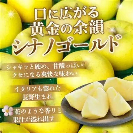 【1月出荷予定】平均糖度13度以上! シナノゴールド 約10kg おもてなし用【配送不可地域：離島・沖縄県】【1703760】