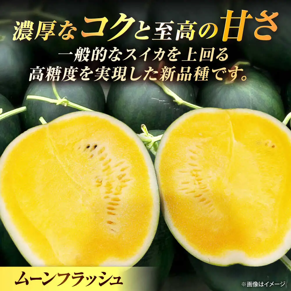 【先行予約】 山鹿の恵み! 黄肉大玉スイカ 匠の育てたムーンフラッシュ　(約8kg前後×1玉)【きもと農園】 熊本県 [ZFQ005]
