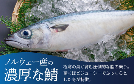 【数量限定】若狭名物 「 吟醸トロ鯖 焼き鯖寿司 ] 2本セット