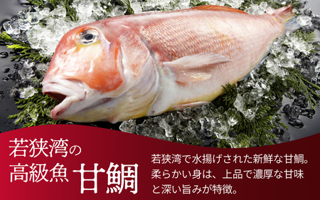【数量限定】若狭名物 「あぶり昆布じめ 甘鯛押し寿司」2本セット