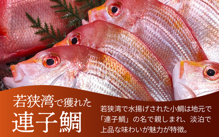 【数量限定】高浜町のブランドレモン「うちうらレモンで締めた 連子鯛押し寿司」1本