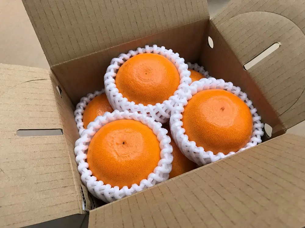 ［8箱セット］甘っ子 小玉 ハウス せとか 9玉入 × 8箱 手さげ箱 南泰園