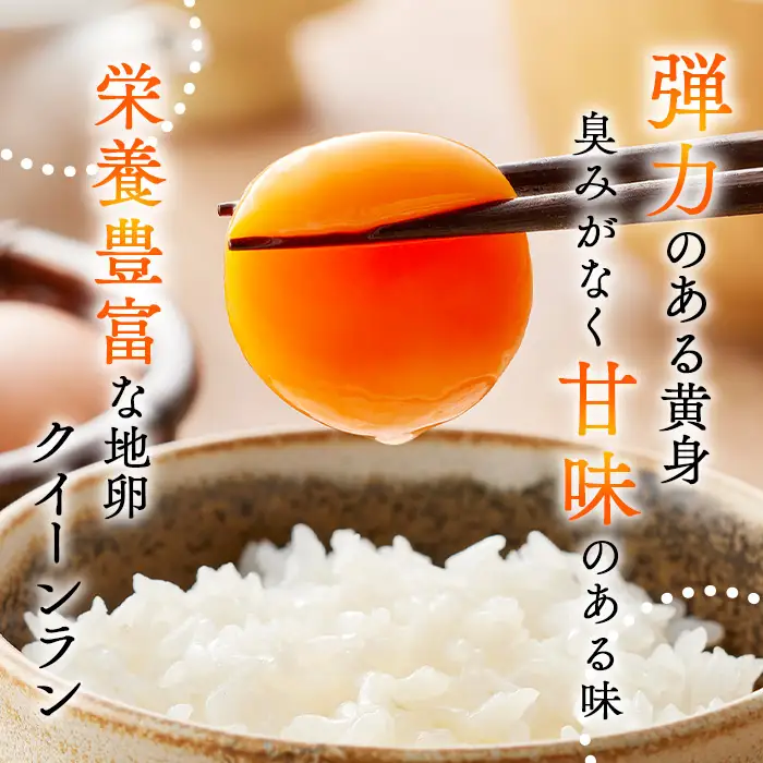 黄身がつかめる新鮮地たまご クイーンラン 赤玉 75個入 No.591