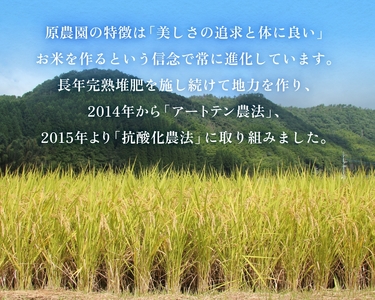 【令和8年産米先行受付】原さんちのお米 白米 ４kg ひとめぼれ 6回定期便 米 お米 こめ コメ  ご飯 ヒトメボレ 常温 大分県 大分 玖珠町 玖珠
