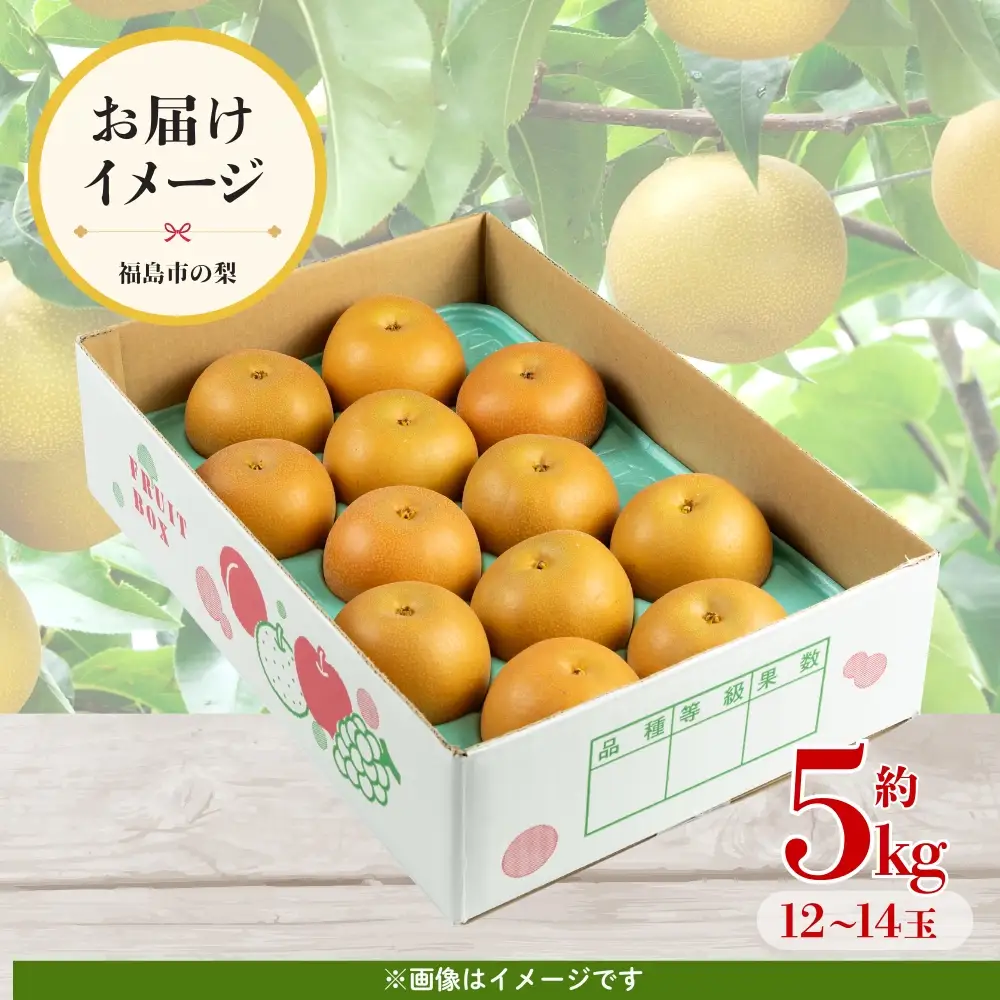 No.3315梨　なし　豊水　約5kg　【2026年発送】