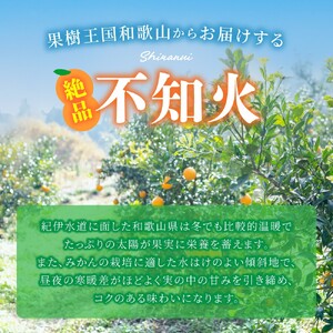 みかん 不知火 約2kg 【贈答用】 森本農園の手選別 和歌山県産 サイズ混合 【北海道・沖縄・離島配送不可】【BV-mrmt079A】
