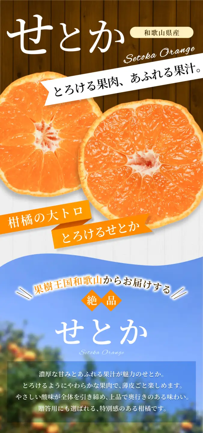 みかん せとか 約3kg 森本農園【1月下旬～4月末頃順次発送】【BV-mrmt089A】