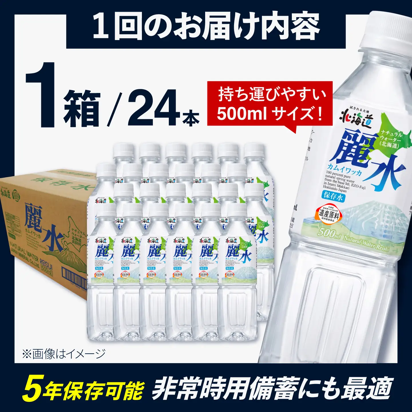 【全4回定期便】≪5年≫ 保存水 500ml×24本 [BPAI008] 保存水