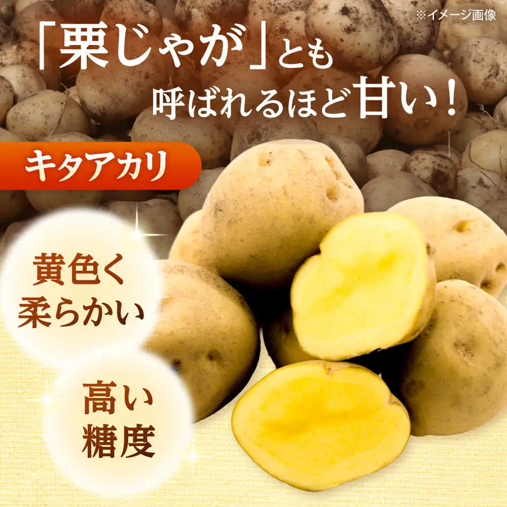 【先行予約】 じゃがいも キタアカリ 5kg [BPAM015] じゃがいも