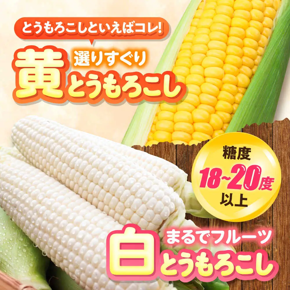 【先行予約】とうもろこし（白・黄） 各5kg [BPAM019] とうもろこし