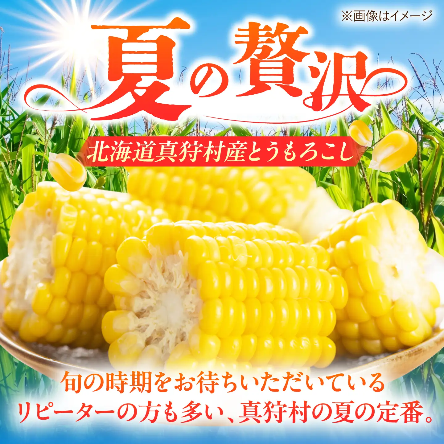 【先行予約】とうもろこし 黄 5kg  [BPAM020] とうもろこし