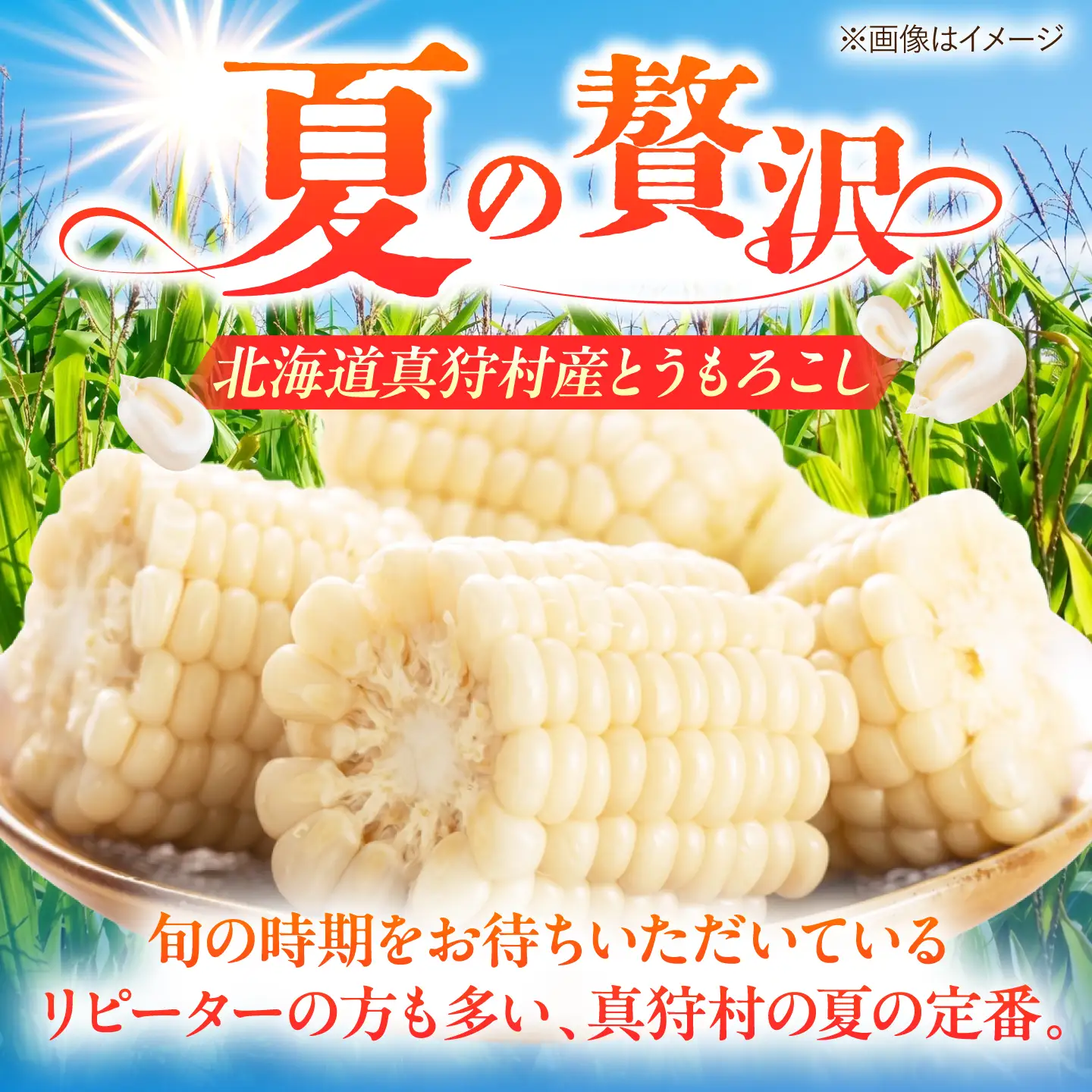 【先行予約】とうもろこし 白 5kg [BPAM021] とうもろこし