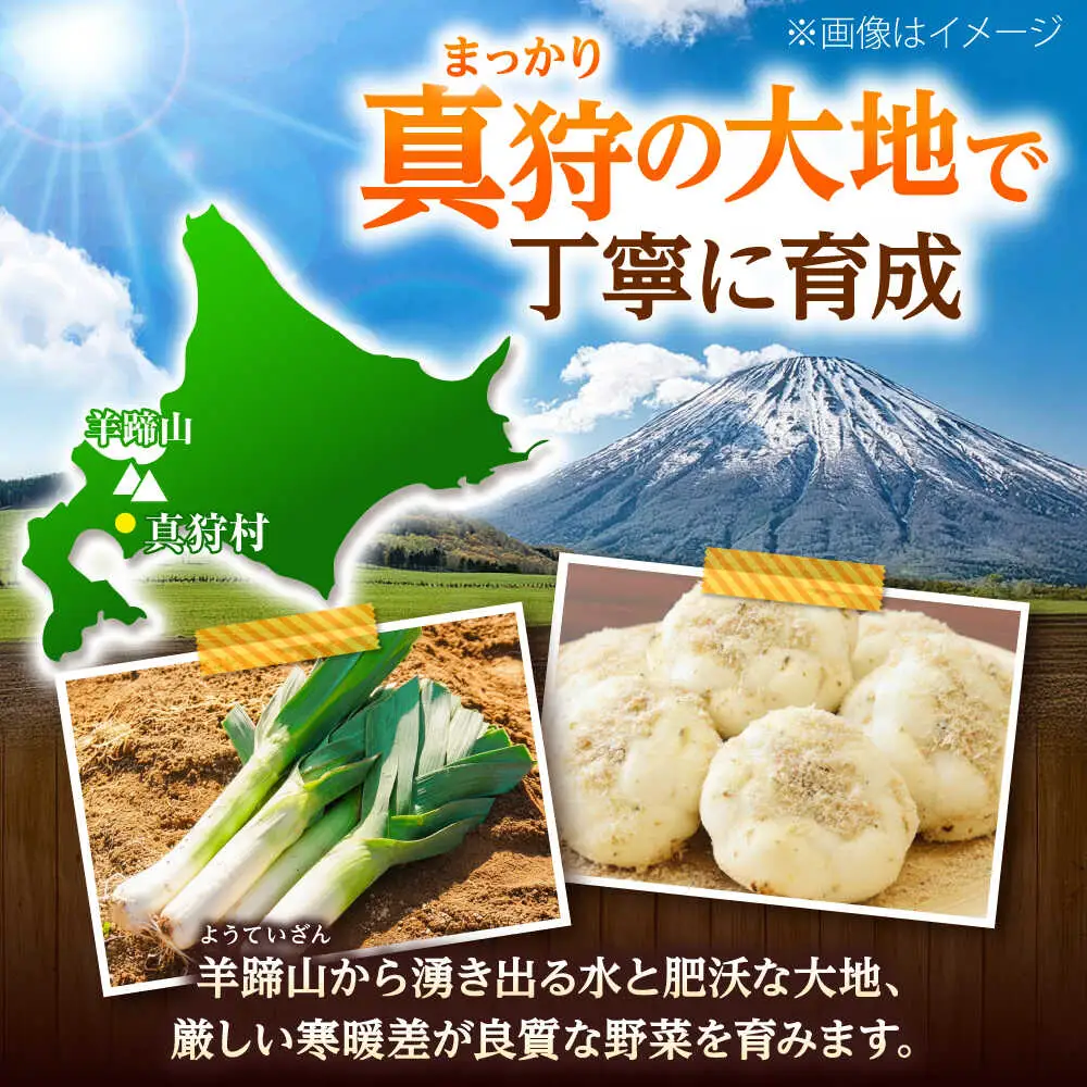 【2026年11月上旬以降順次発送】 ゆり根とリーキ  計3kg  |  ゆり根 リーキ 野菜 やさい 北海道 産地直送 |  道の駅 真狩フラワーセンター[BPAM022]