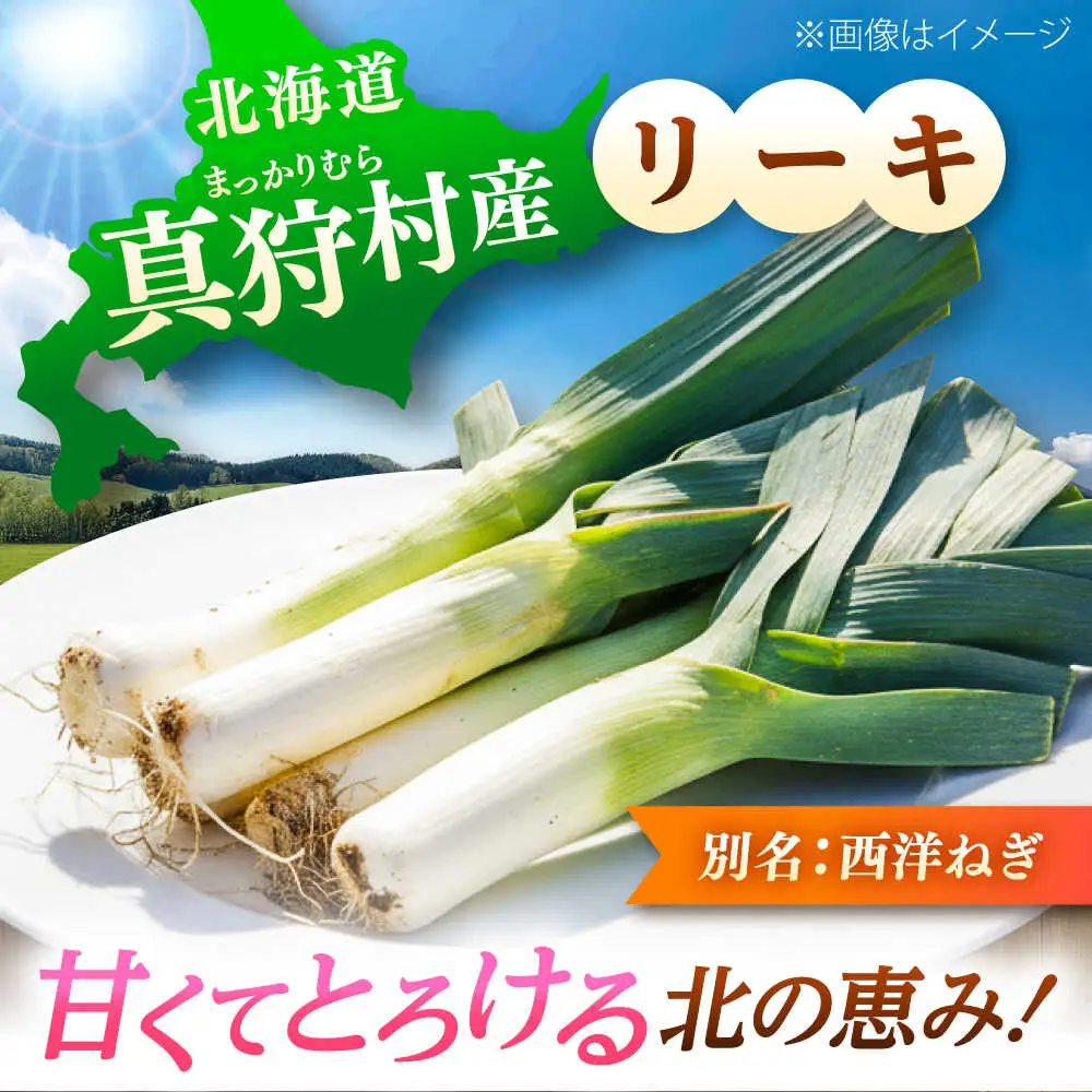 【2026年10月中旬以降順次発送】 リーキ 3kg | 野菜 ネギ ねぎ ポロネギ 西洋ねぎ リーキ | 道の駅 真狩フラワーセンター[BPAM045]