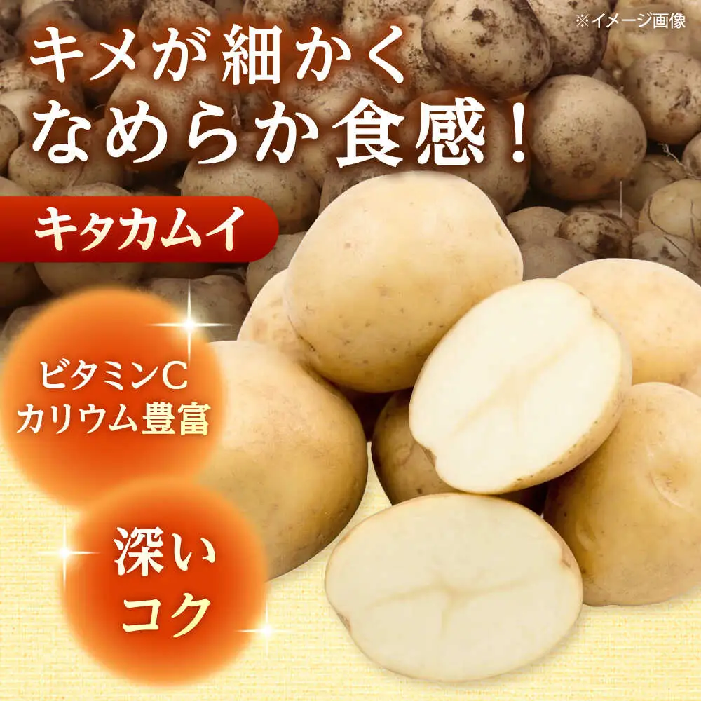 【先行予約】 じゃがいも キタカムイ 5kg [BPAM048] じゃがいも