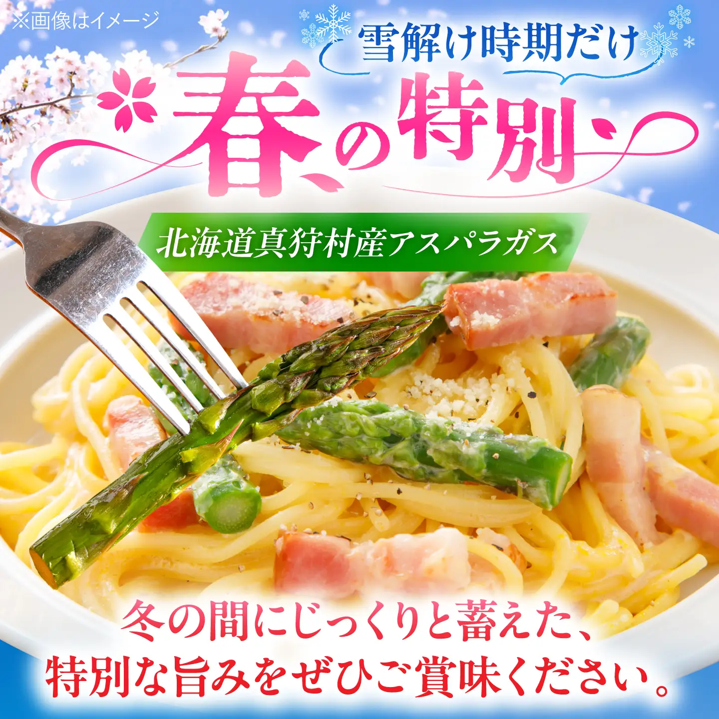 【2027年先行予約】グリーンアスパラガス 1kg [BPAM049] アスパラ