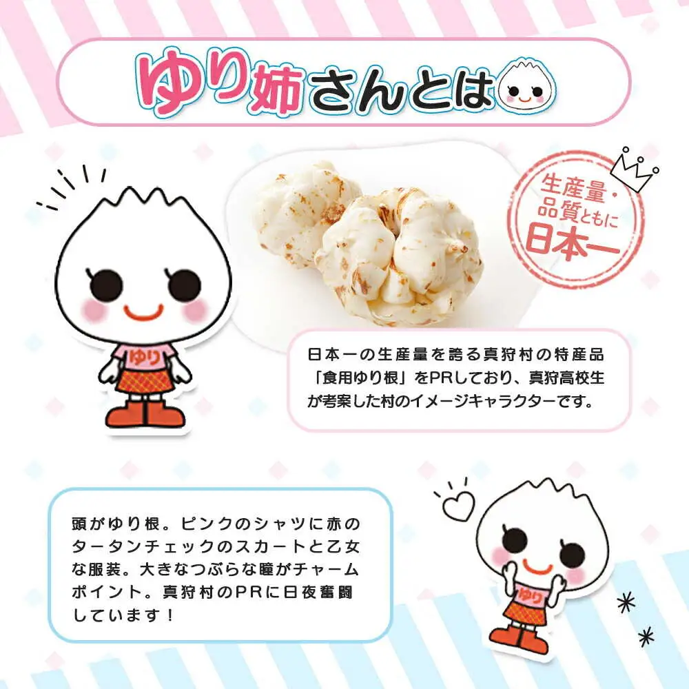 【真狩村イメージキャラクター】ゆり姉さん クリアファイルセット （透明・ピンク） | ゆるキャラ グッズ まっかり 真狩村 ファイル 文房具 ステーショナリー 北海道 | 真狩フラワーセンター[BPAM072]