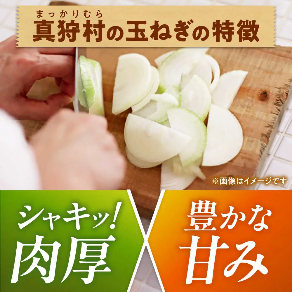 【先行予約】 玉ねぎ 5kg [BPAM079] 玉ねぎ 北海道