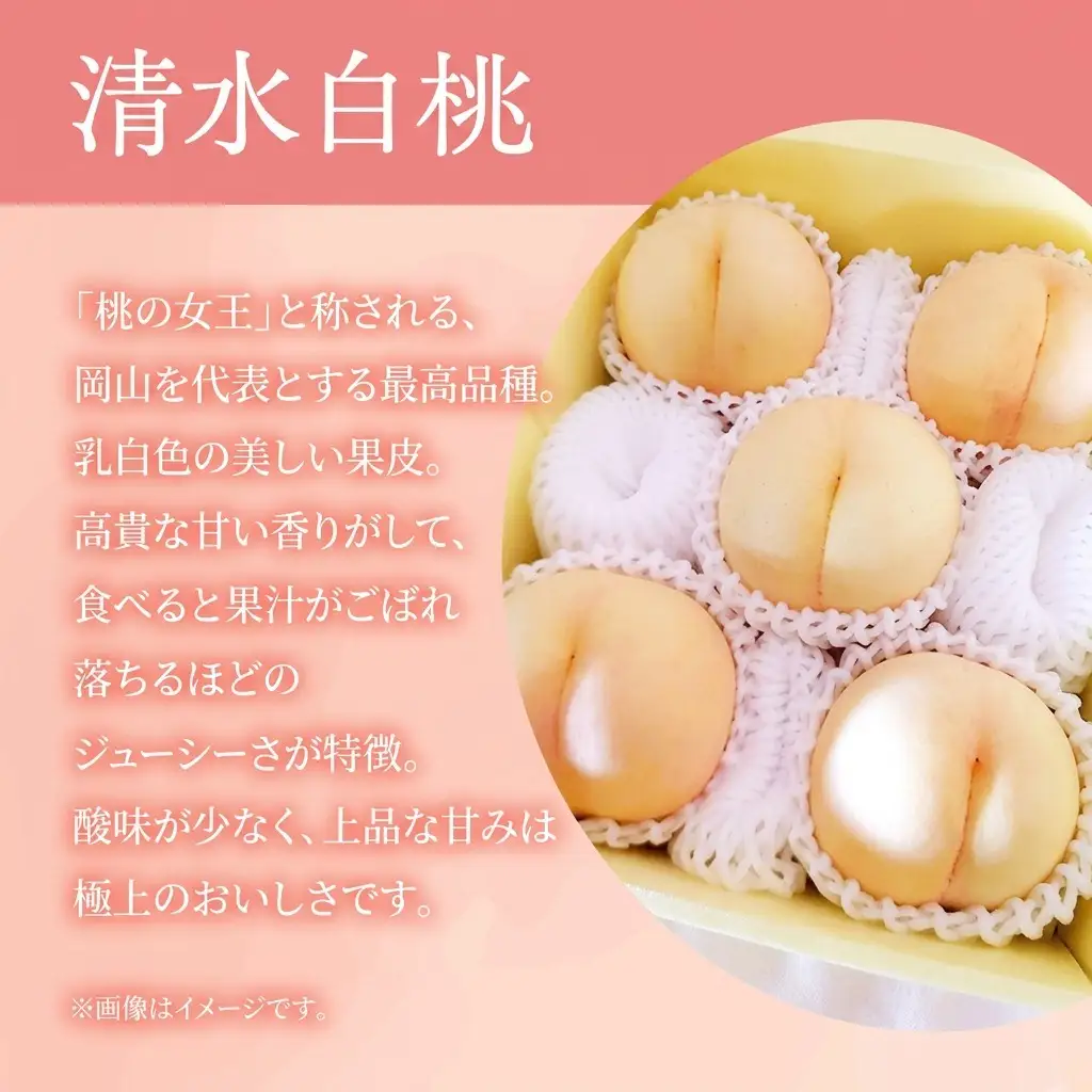 桃 2027年 先行予約 岡山県産 清水白桃 贈答用 2.0kg(5～8玉) 朝採れ 農家直送 