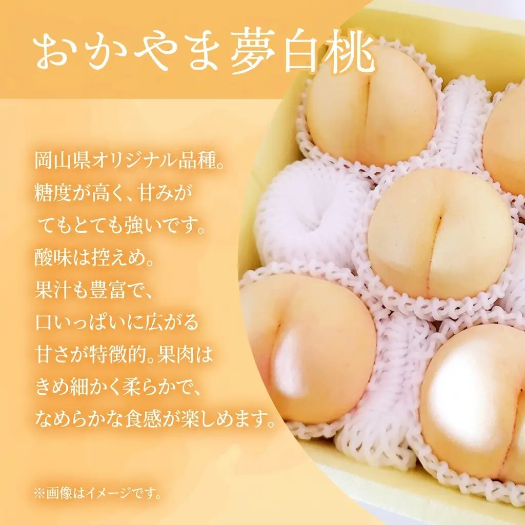 桃 2027年 先行予約 岡山県産 おかやま夢白桃 贈答用 2.0kg(5～8玉)　朝採れ　農家直送
