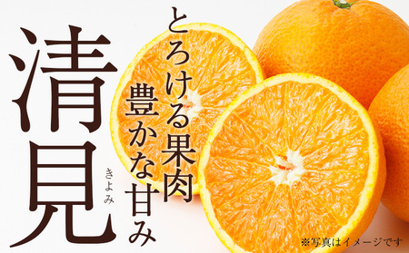 ＜訳あり 清見 (サイズ混合) 約5kg＞ 愛媛 蜜柑 ミカン みかん 果物 フルーツ 柑橘 国産 きよみ 訳アリ ご家庭用 愛媛県産 西予市産 西宇和 特産品 丸二青果 愛媛県 西予市【常温】『2026年3月中旬から順次出荷予定』MMY0019
