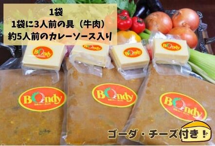 神田カレーグランプリ第1回優勝　欧風カレーボンディ 中辛