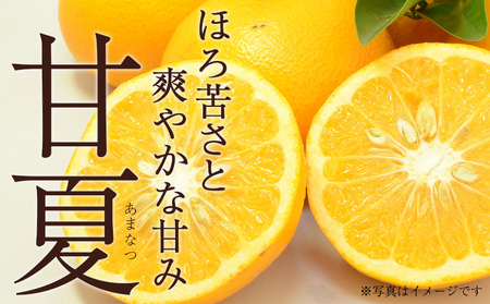 ＜訳あり 甘夏 (サイズ混合) 約10kg＞あまなつ 爽やか 程よい酸味 愛媛 蜜柑 ミカン みかん 果物 フルーツ 柑橘 国産 訳アリ ご家庭用 愛媛県産 西予市産 西宇和 特産品 丸二青果 愛媛県 西予市【常温】『2026年3月上旬から順次出荷予定』MMY0022 
