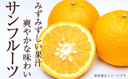 ＜秀品 サンフルーツ (L～3Lサイズ) 約10kg＞果汁 愛媛 蜜柑 ミカン みかん 果物 フルーツ 柑橘 国産 秀品 ギフト 贈答用 贈り物 贈物 プレゼント 愛媛県産 西予市産 西宇和 特産品 丸二青果 愛媛県 西予市【常温】『2026年3月上旬から順次出荷予定』MMY0025