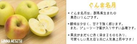りんご 名月 ぐんま名月 家庭用 3kg ヤマウラ農園 沖縄県への配送不可 2026年11月中旬頃から2026年11月下旬頃まで順次発送予定 令和8年度収穫分 信州 果物 フルーツ リンゴ 林檎 長野 予約 農家直送 長野県 飯綱町 [2097]