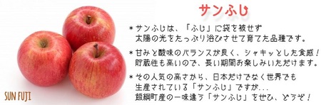 サンふじ ＆ ゴールド 2種類 詰め合わせ 家庭用 5kg ヤマウラ農園 沖縄県への配送不可 2026年11月中旬頃から2026年11月下旬頃まで順次発送予定 令和8年度収穫分 信州 果物 フルーツ リンゴ 林檎 長野 予約 農家直送 長野県 飯綱町 [1814]