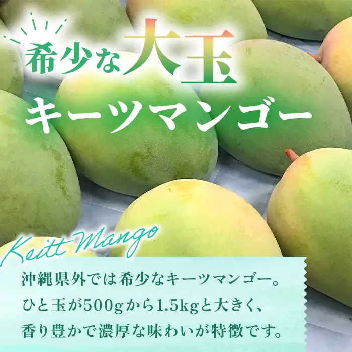 《2026年夏発送》【贈答用】宮古島産キーツマンゴー 1.6kg｜ミナバ果樹園（KM07）