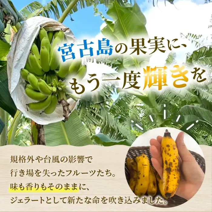 【宮古島産フルーツ使用】宮古島ジェラート 贅沢6種食べ比べセット（WK01）